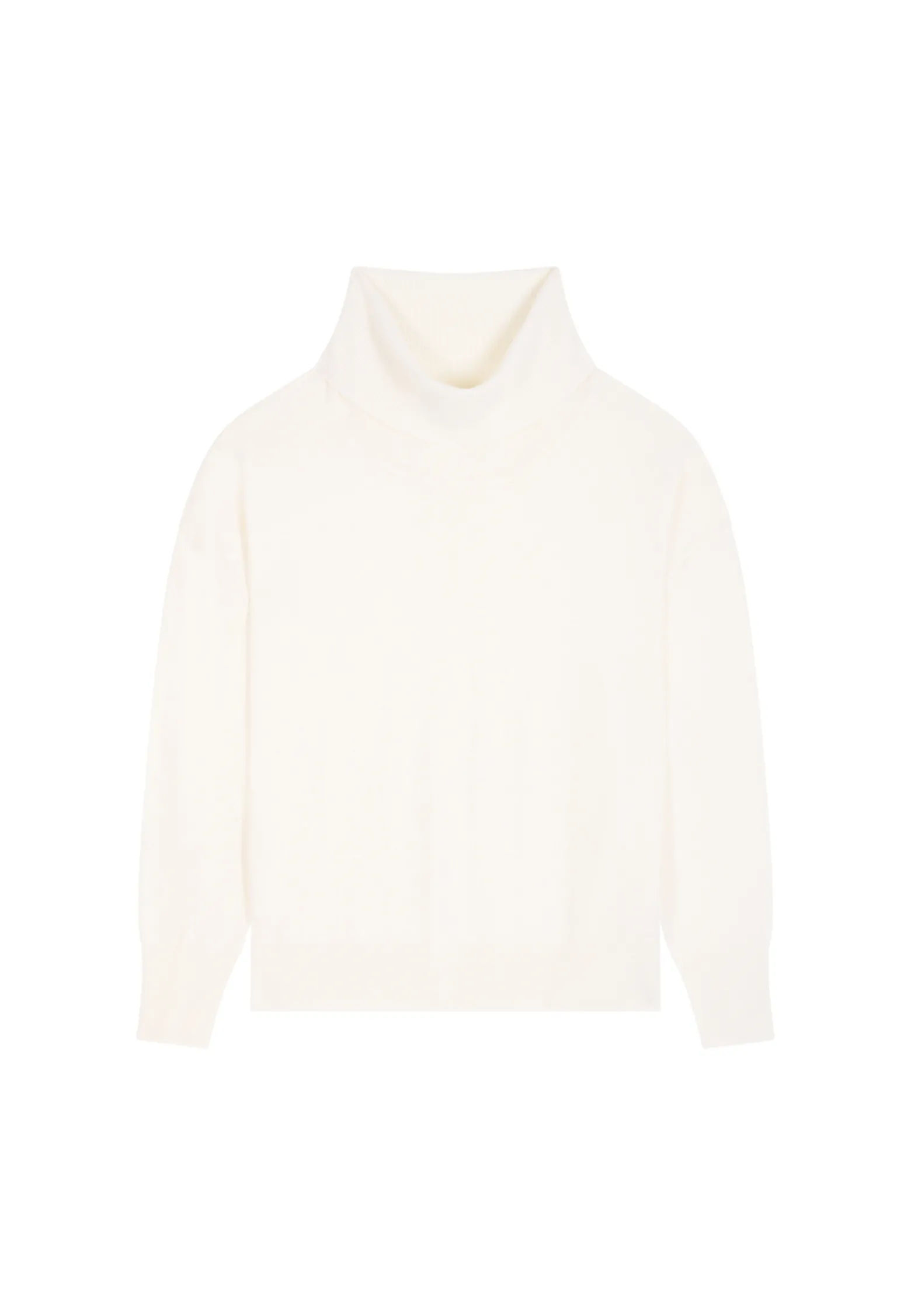 Montagut Turtleneck sweater in merino wool - Alisa